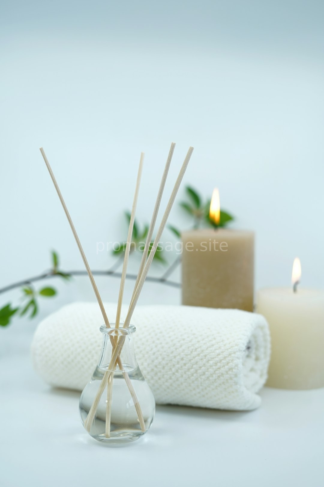 Wellness Moment 3